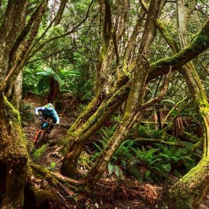 Tasmanian experiences mountain biking